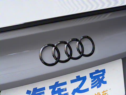 2024�� RS 5 2.9T Sportback ȼ���