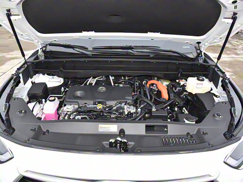 2024�� 2.5L���ܵ��˫���������� 7��