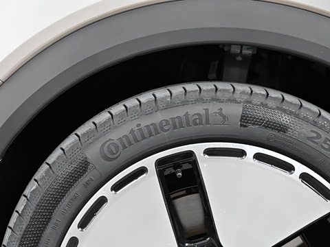 2024�� ������������ ������