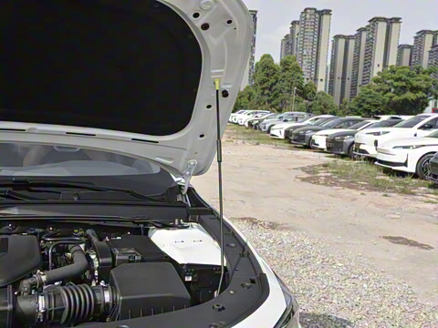 2024�� 2.0T ���ܰ�