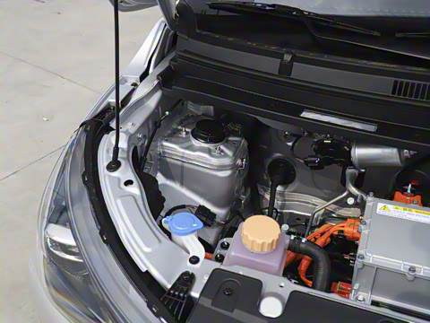 2025�� 305km ������