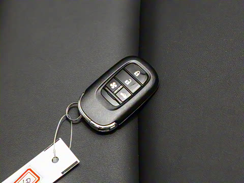 2023�� 2.0L e:PHEV ������