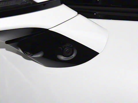 2025�� 625 ������ Max