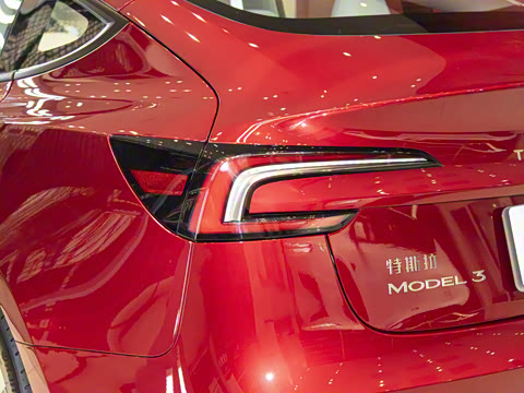 2025�� ����������