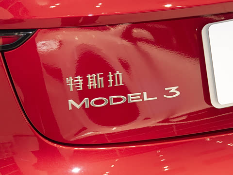 2025�� ����������