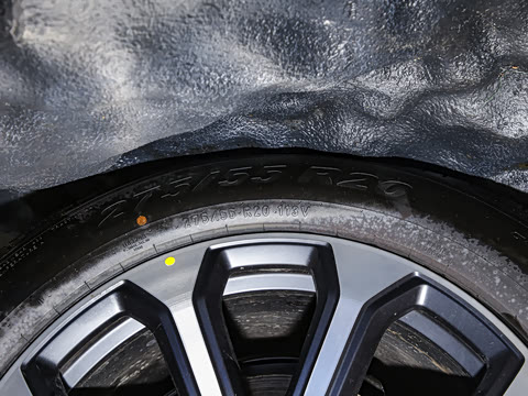 2024�� ����������