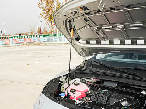 2025�� 425plus ������