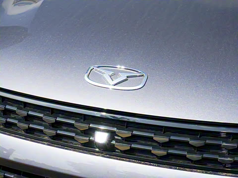 2025�� 1.5L �ֶ�������