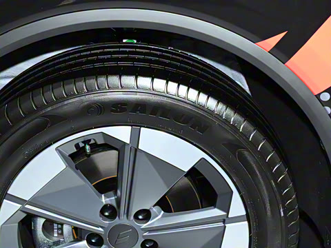 2025�� ��������