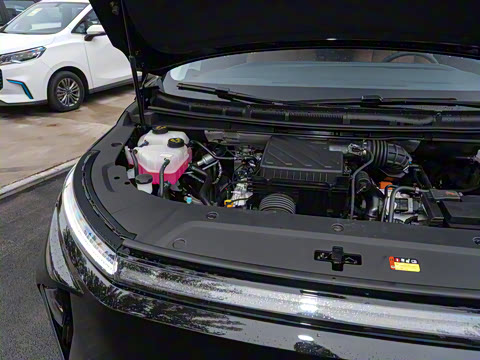 2024�� ���� ��������ԭ�� ����