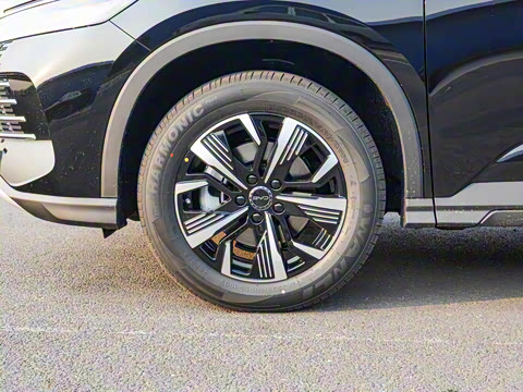 2025�� DM-i 75KM�����