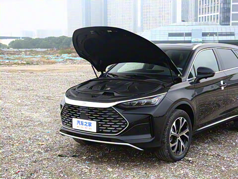 2025�� DM-i 115KM �����콢��