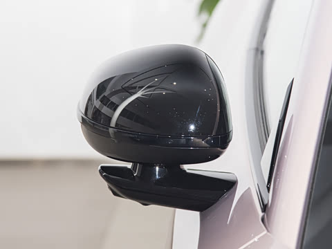 2025�� ��������������