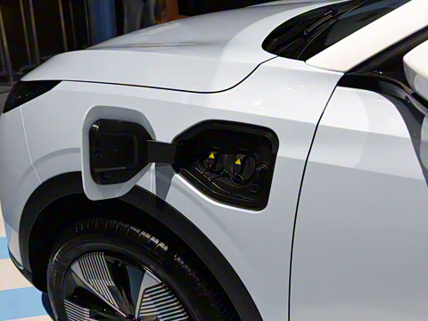 2025�� 565km ������