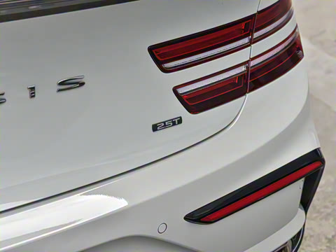 2024�� 2.5T ����������