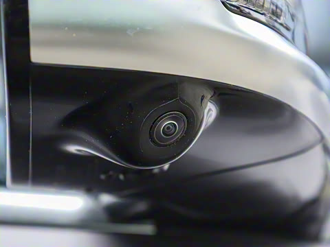 2025�� ���� ����� 230 ������