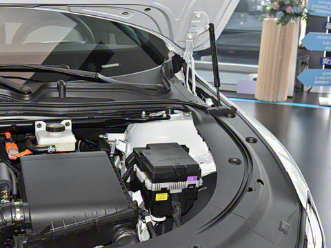 2025�� �������̰� 230�����