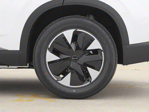 2025�� 205��������������