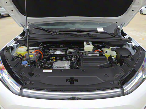 2025�� 205��������������