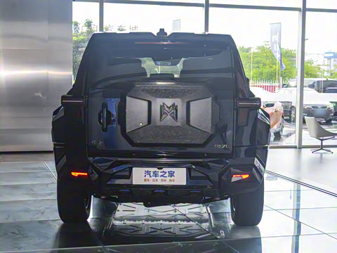 2025�� M900 ������