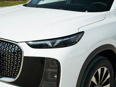 2025�� 290TGDI DCT������ 