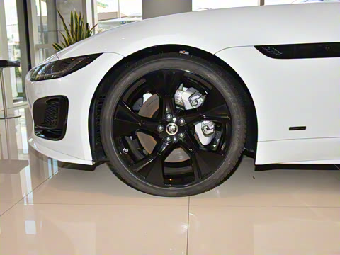 2024�� P300 75�����س����