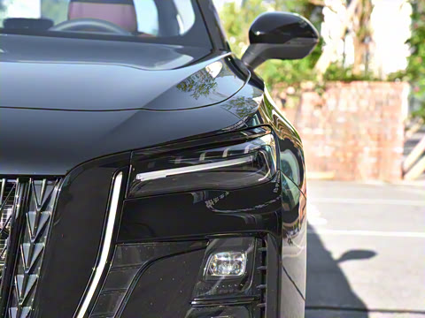 2025�� 2.0T �Զ���Ӱ��