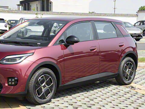 2025�� 330��ҫ��