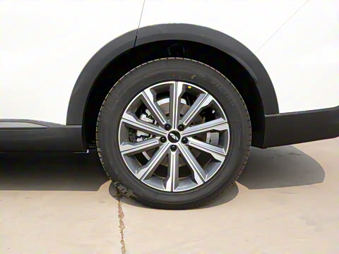 2024�� 120 �������������� 5�� �������