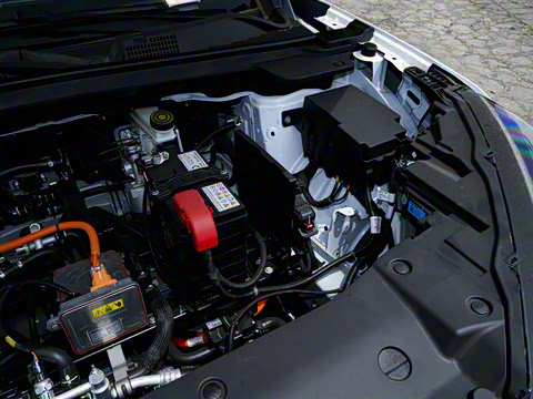 2025�� 518������