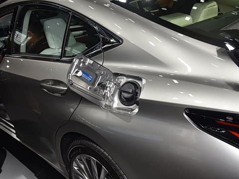 2025�� 300h ������