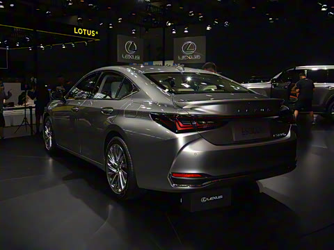 2025�� 300h ������