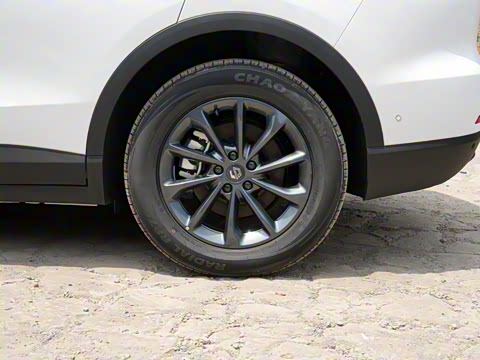 2024�� ���� 515������