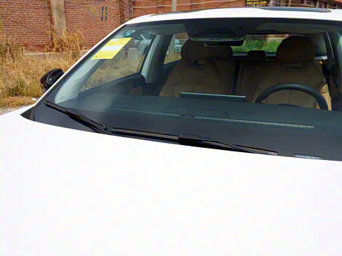 2024�� ���� 515������