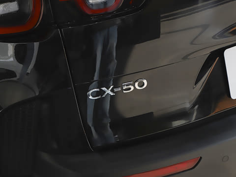 2024�� 2.5L ���а�