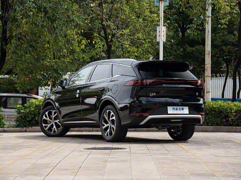 2025�� DM-i 115KM ������