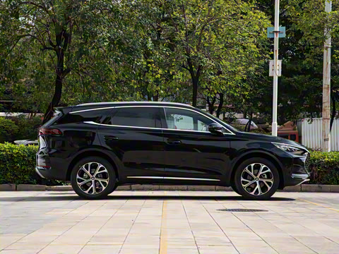 2025�� DM-i 115KM ������