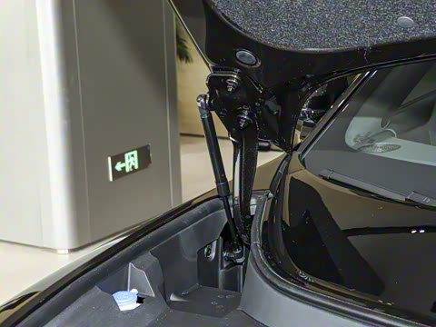 2024�� Max�����