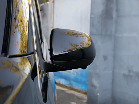 2025�� �����ű���