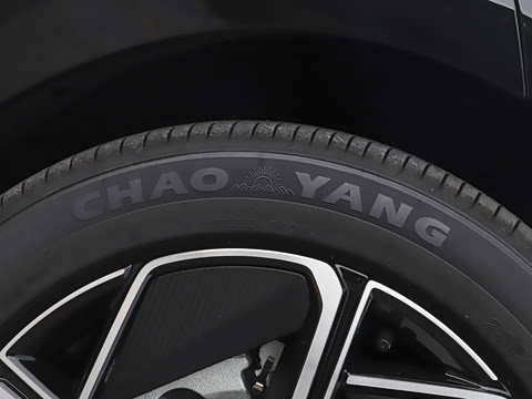 2025�� ���� 230AirѲ����