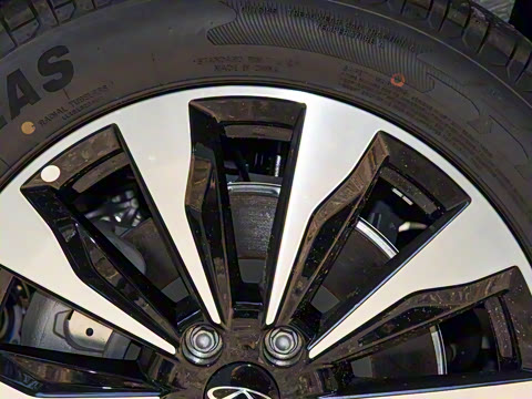 2025�� 290TGDI DCT������ 7��