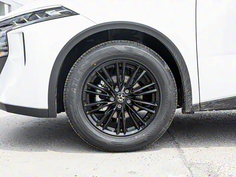 2026�� 260T ������ Pro