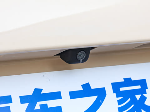 2025�� 155km ʥ����