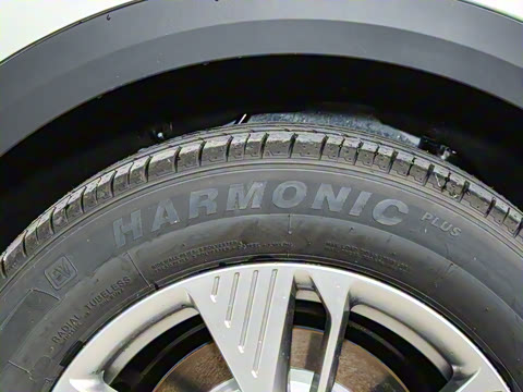 2025�� 445km ���ð�