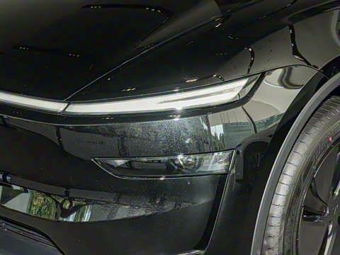 2025�� ����������