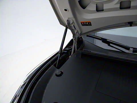 2025�� 530km ����Max