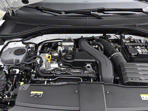 2025�� �Ŀ� 300TSI DSG�����ǹ��