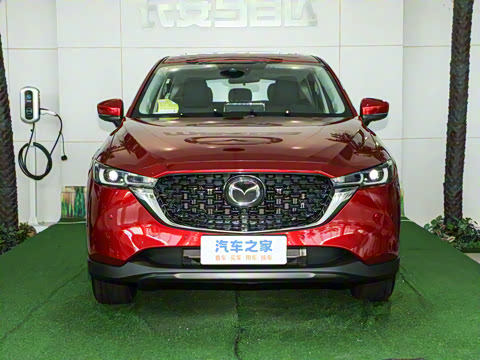 2024�� 2.0L �Զ���������Pro