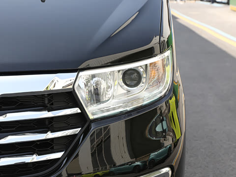 2025�� PLUS 2.0L ��Ӣ��