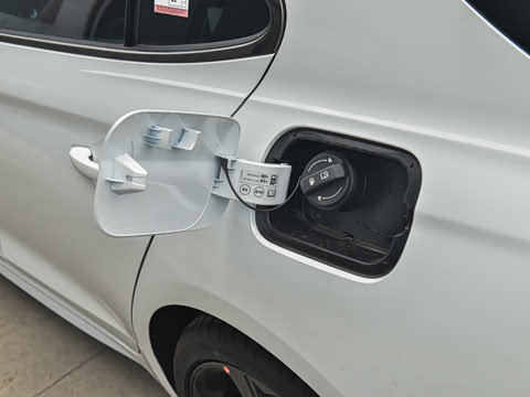 2024�� 2.0T ���Ͱ���������� Shooting Brake